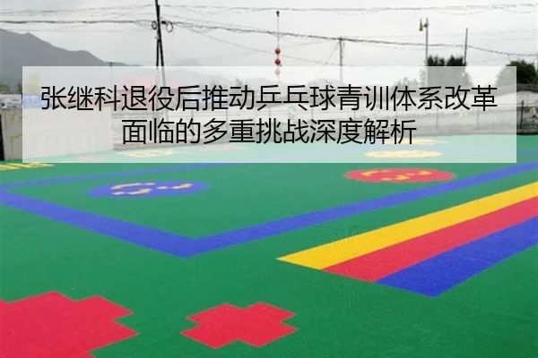 张继科退役后推动乒乓球青训体系改革面临的多重挑战深度解析